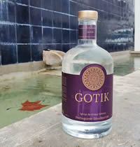 Gin Gotik, Gin de Santarem