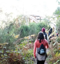 Passeio organizado de Turismo Natureza ao Gerês